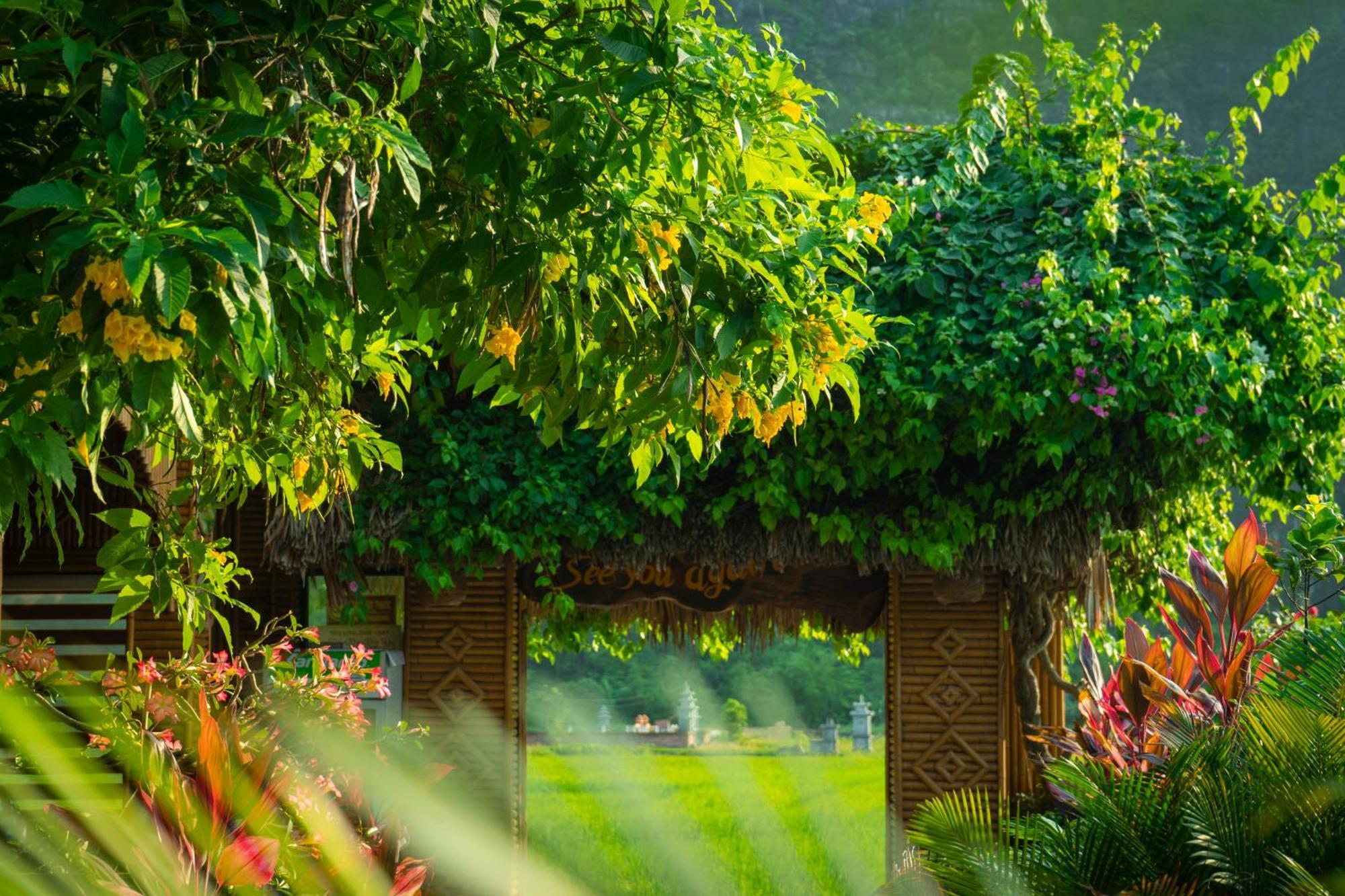 Tam Coc Minh Hung Homestay نينه بينه المظهر الخارجي الصورة