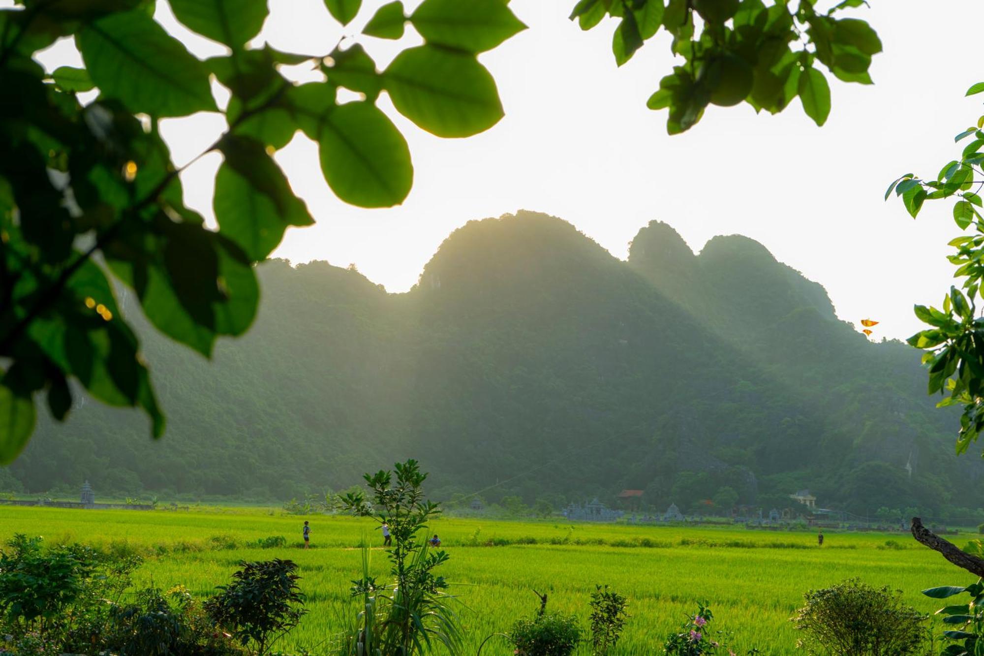 Tam Coc Minh Hung Homestay نينه بينه المظهر الخارجي الصورة